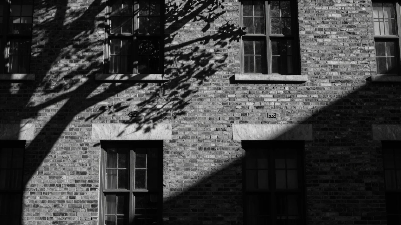 High contrast black and white photograph of geometric shadows cas
